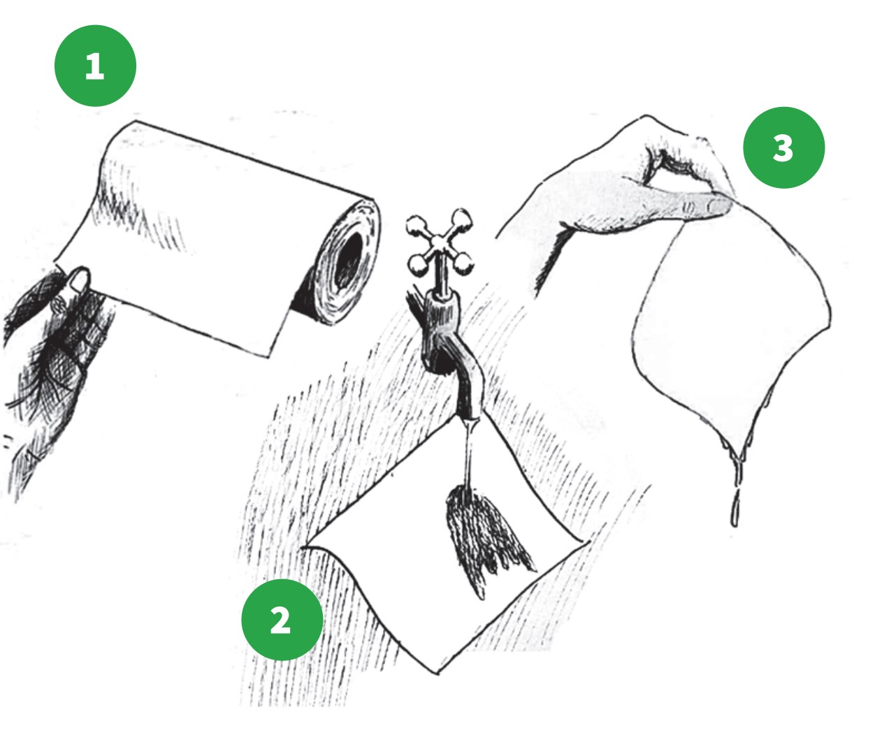 how to grow step 1-2-3