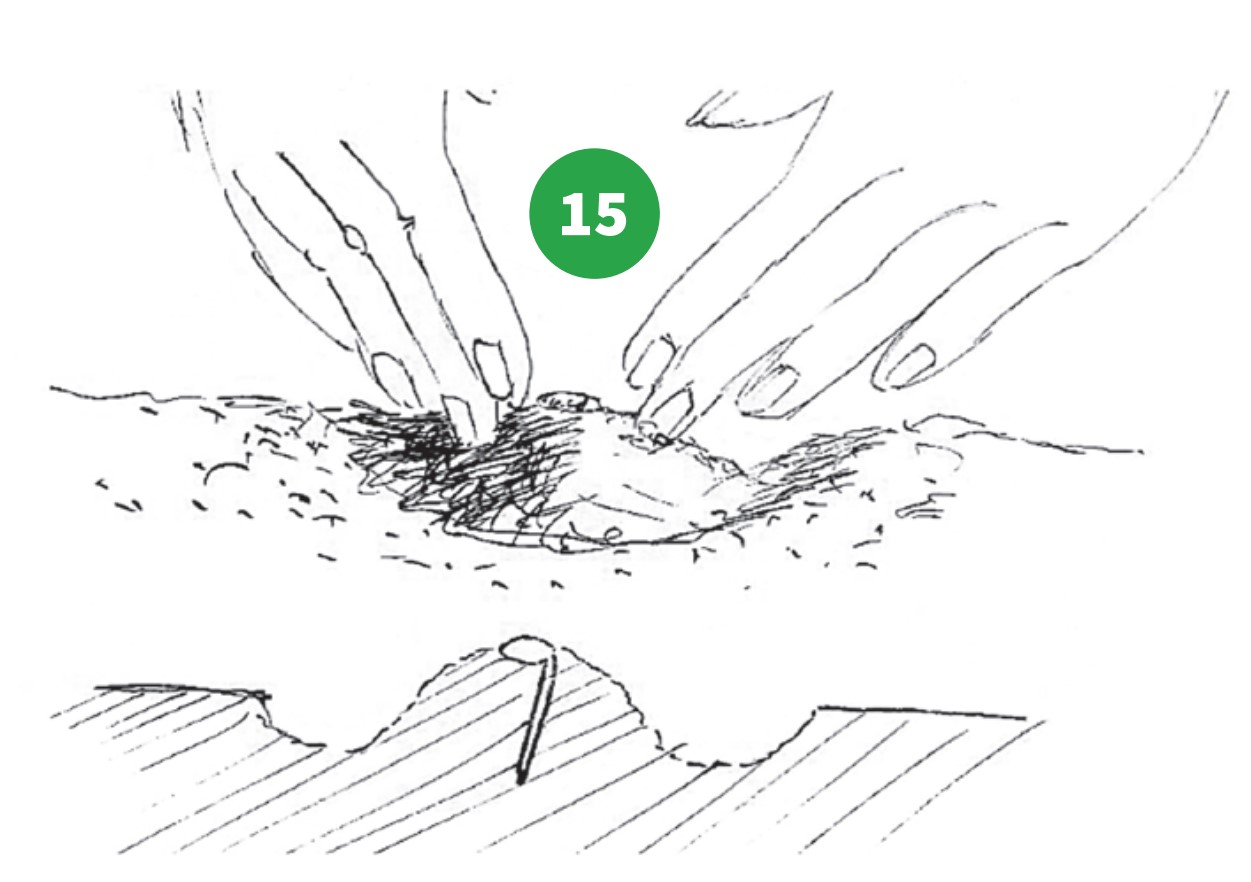 how to grow step 15