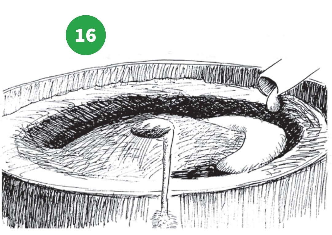 how to grow step 16