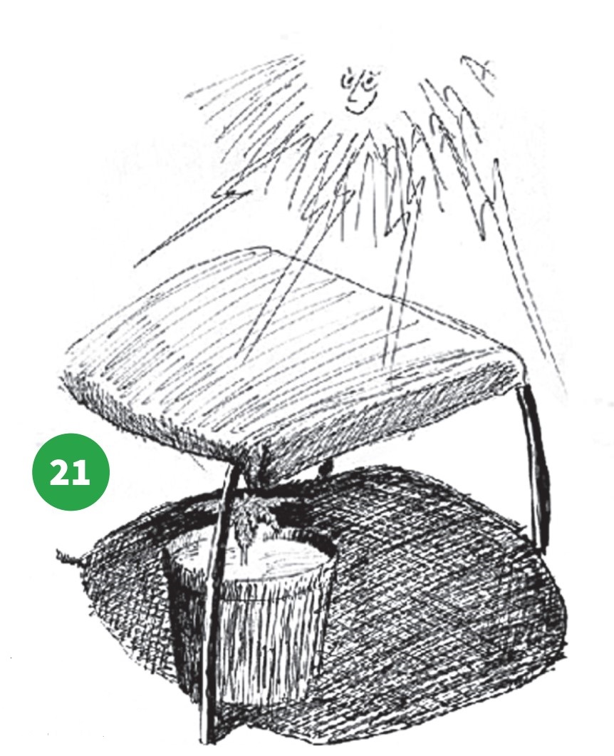 how to grow step 21