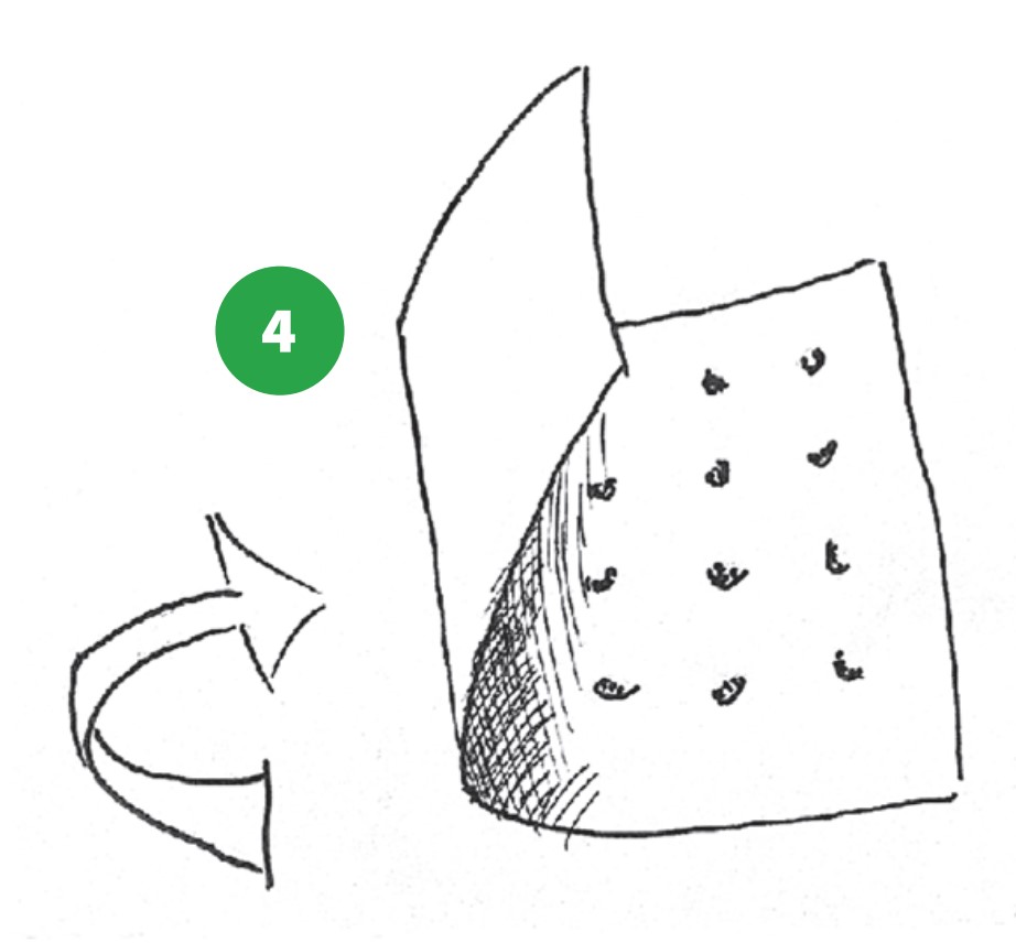 how to grow step 4