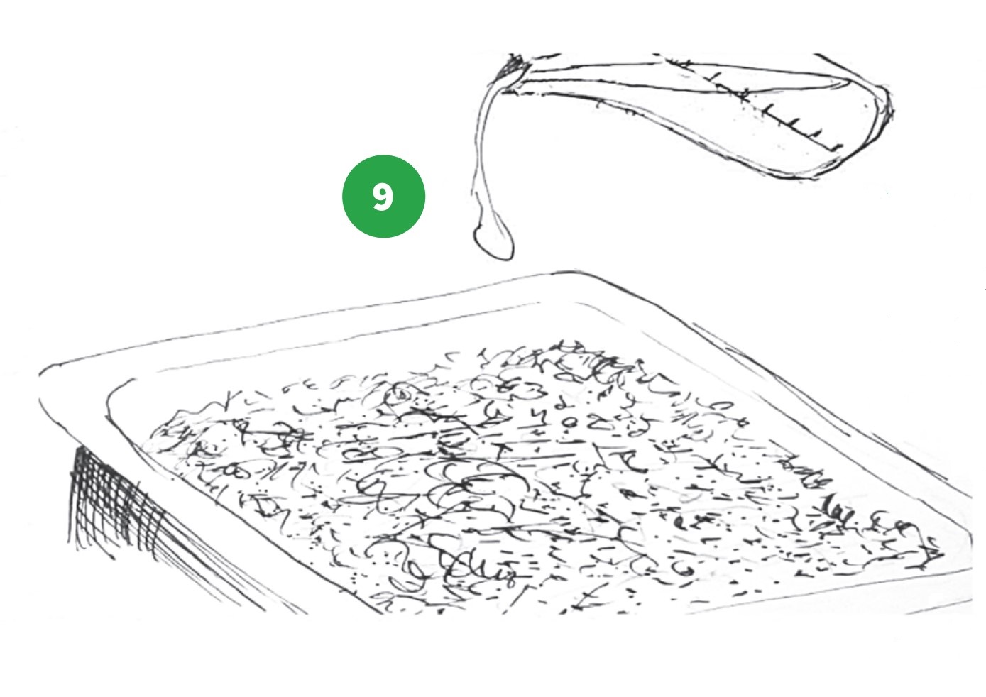 how to grow step 9