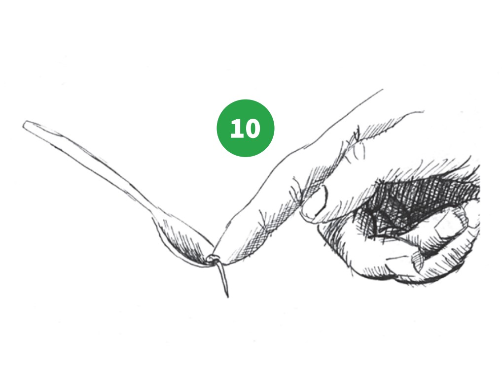 how to grow step 10