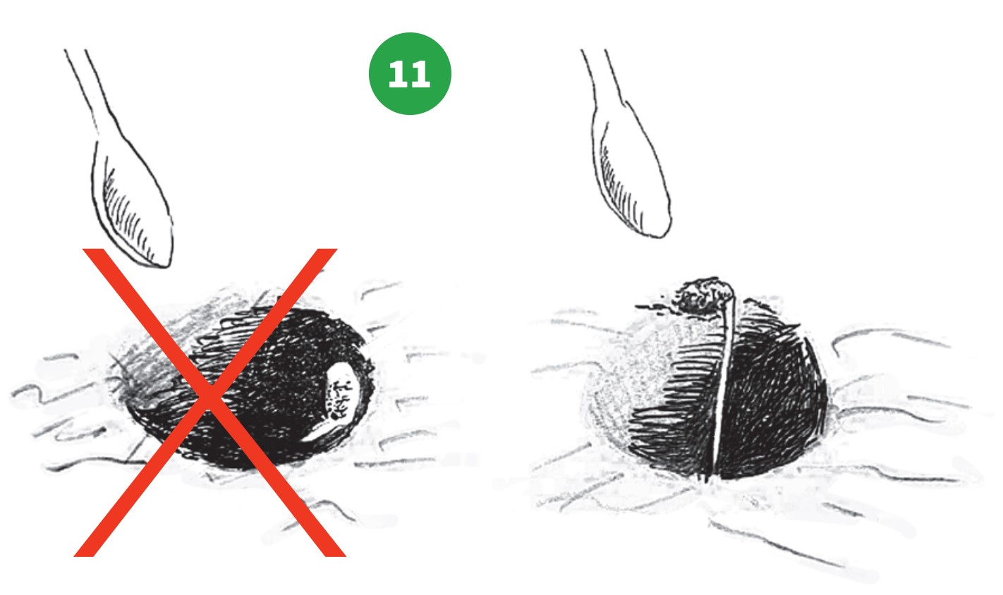 how to grow step 11