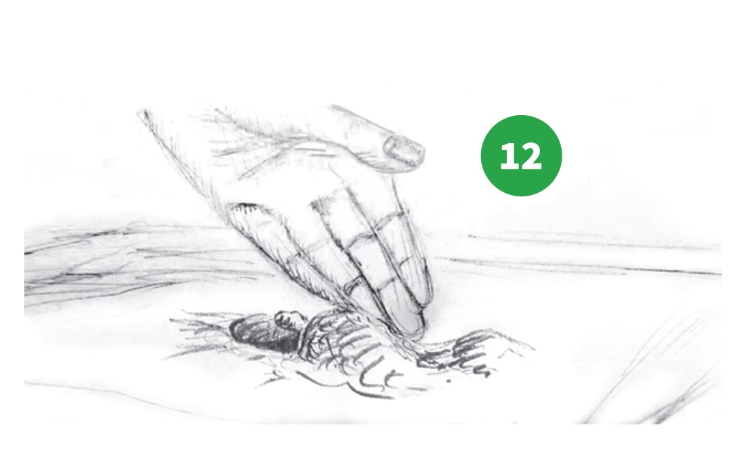 how to grow step 12