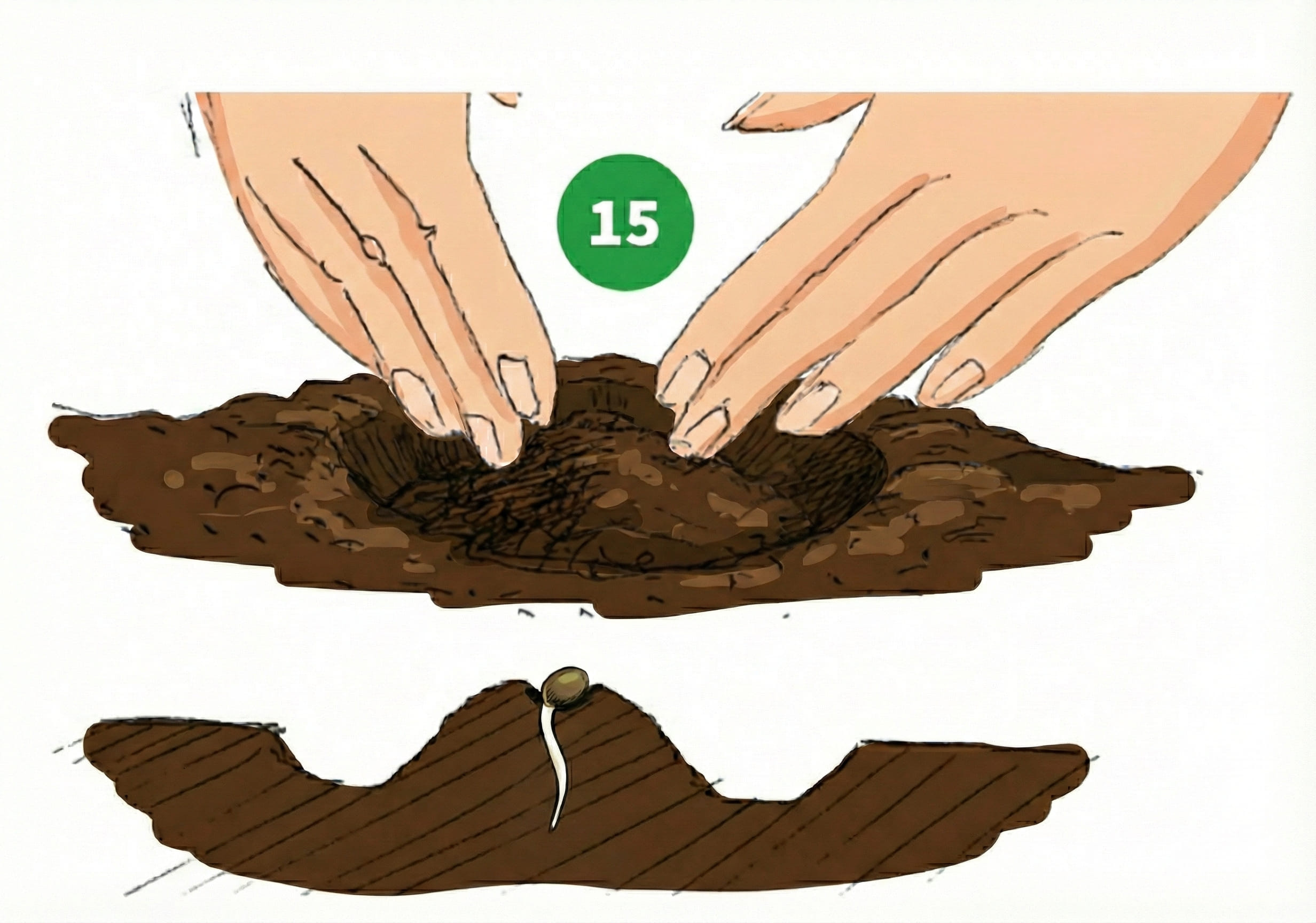 how to grow step 15