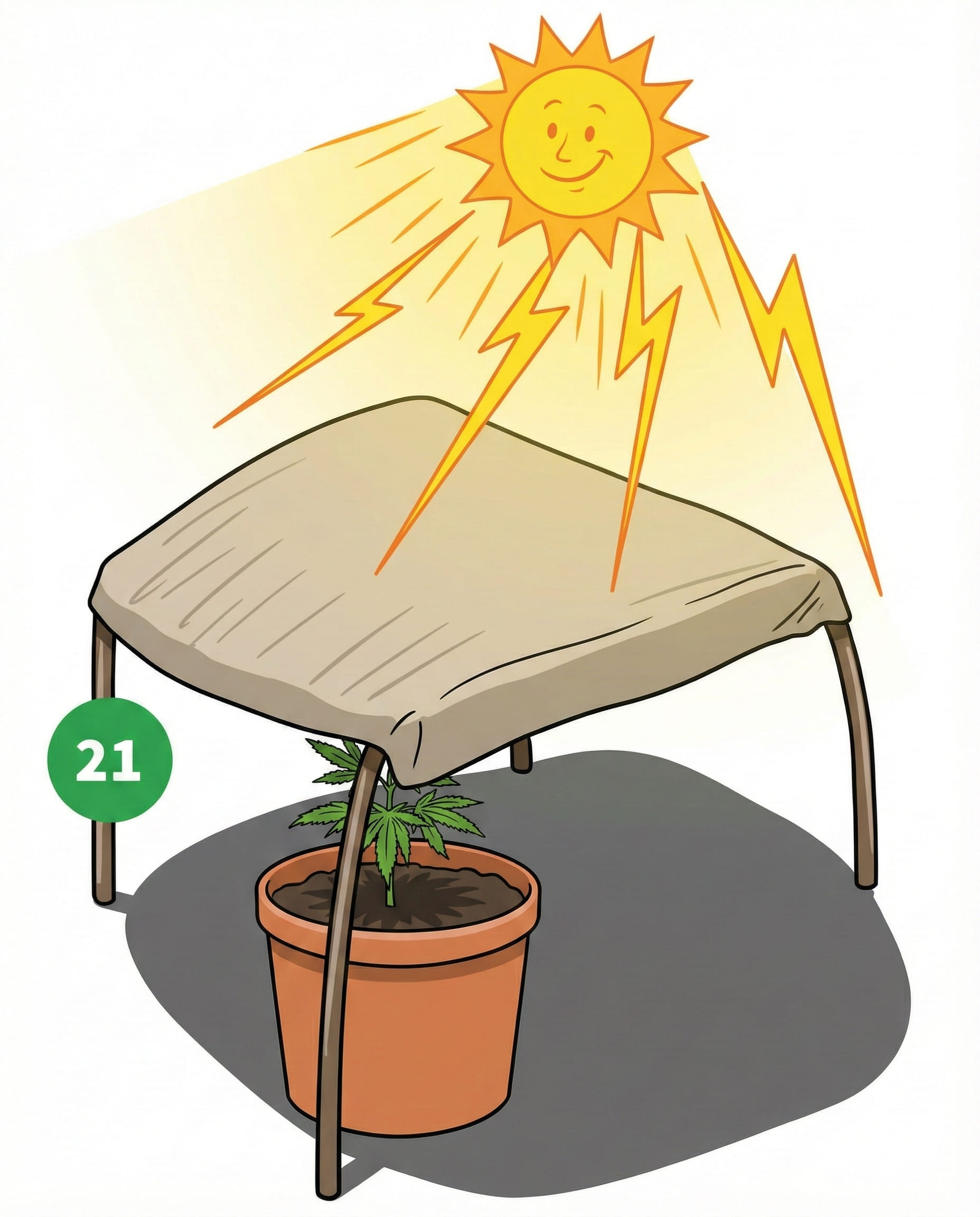 how to grow step 21