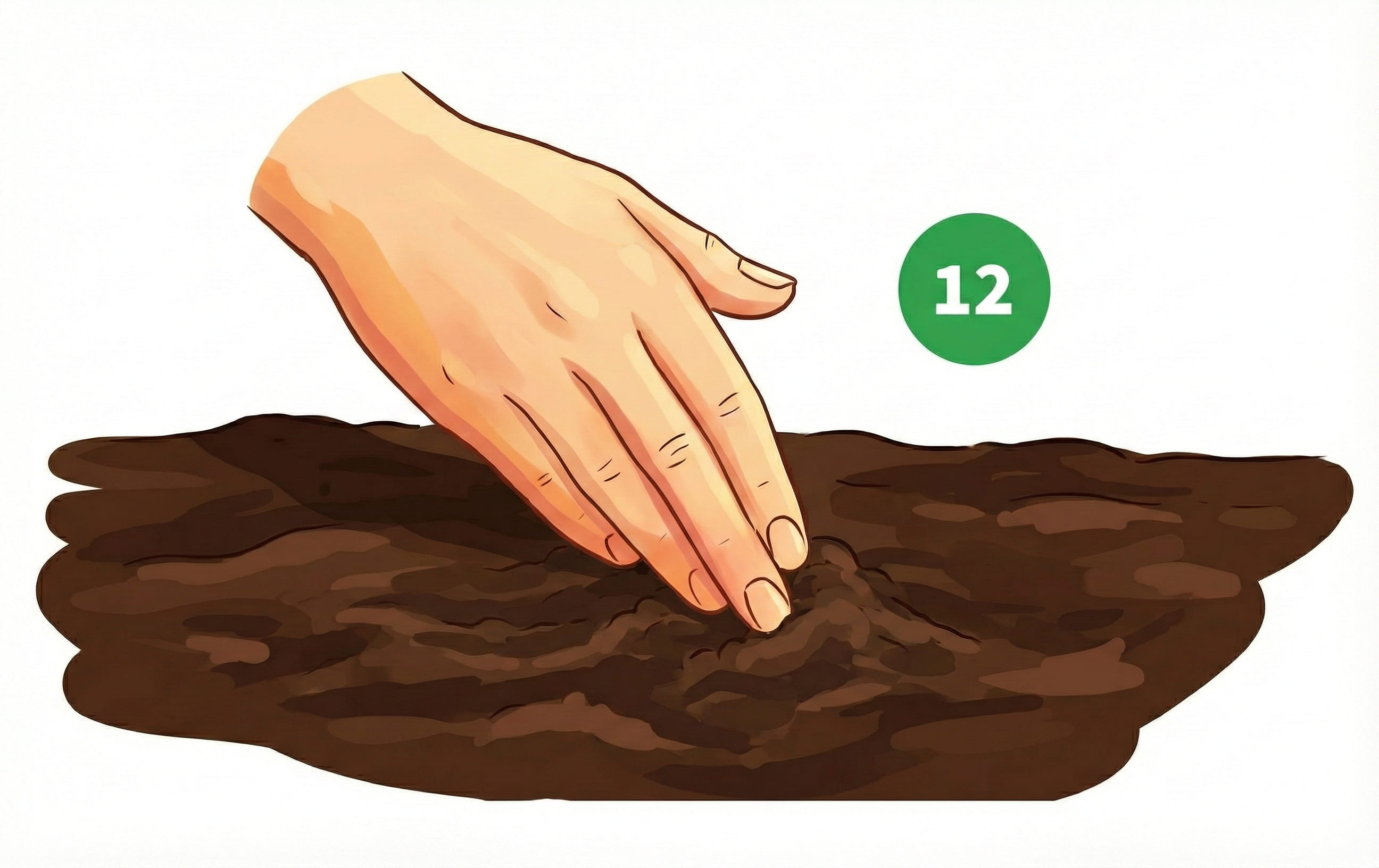 how to grow step 12