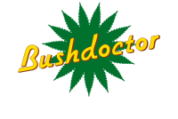 Bushdoctor - Brunn