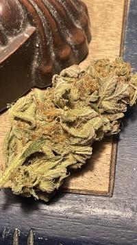 Serious 6 bud