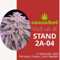 instagram post >>> SWIPE FOR A CANNAFEST