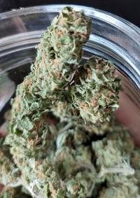 Serious Happiness Buds