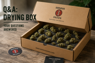 Q&A - On Drying in a Box